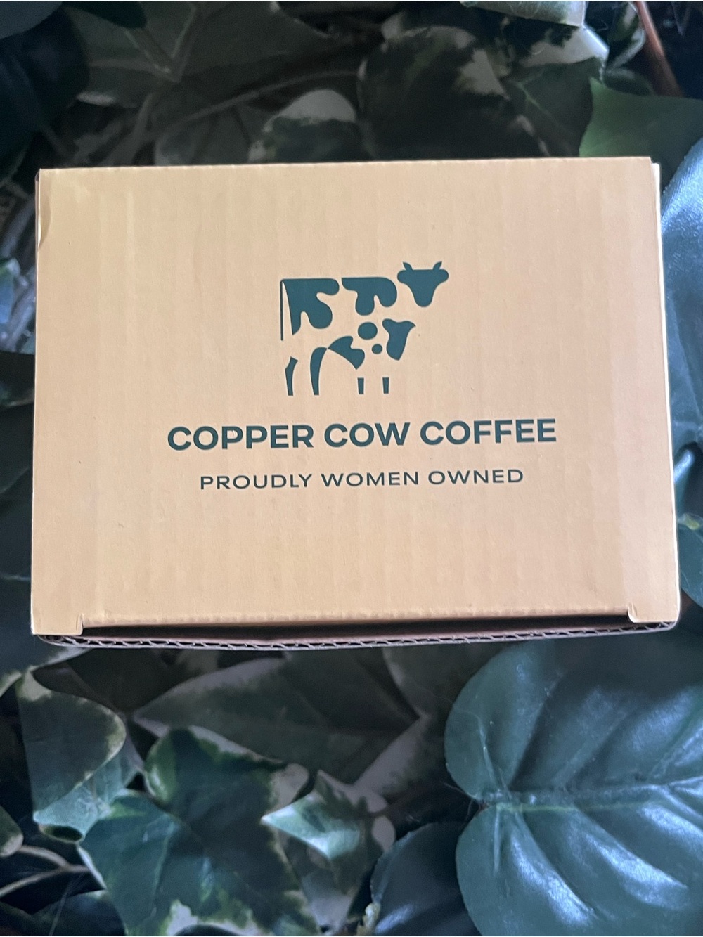 Copper Cow Coffee The Coffeeist Glass Coffee Cup - Picture 11 of 11